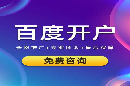 百度推广实战技巧：案例详解